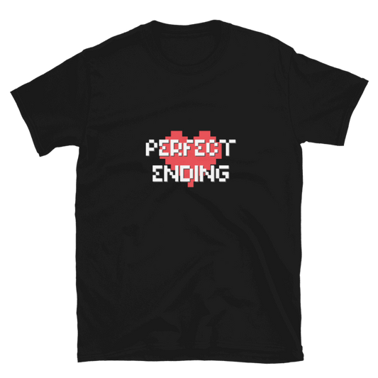 Black t-shirt with 'Perfect Ending' design on a white background